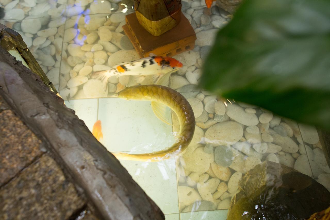 Cheetah Hostel Hanoi Exterior photo
